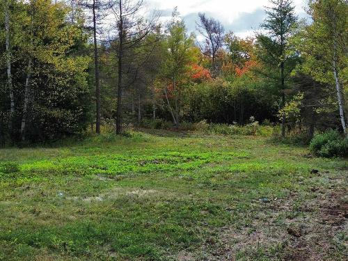 4-25 Hwy#6 Highway, Pugwash, NS 