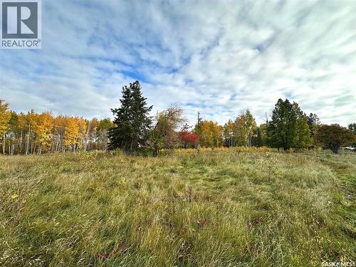 Neu Acreage, Hudson Bay, SK 