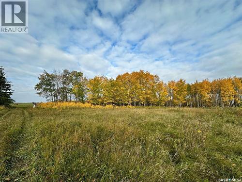 Neu Acreage, Hudson Bay, SK 