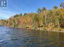 522340146 Little Long Lake, Parry Sound Remote Area (Wilson), ON 