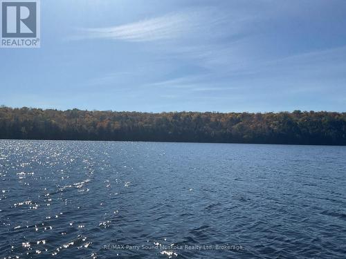 522340146 Little Long Lake, Parry Sound Remote Area (Wilson), ON 