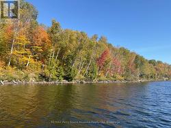 522340146 LITTLE LONG LAKE  Parry Sound Remote Area (Wilson), ON P0H 1S0