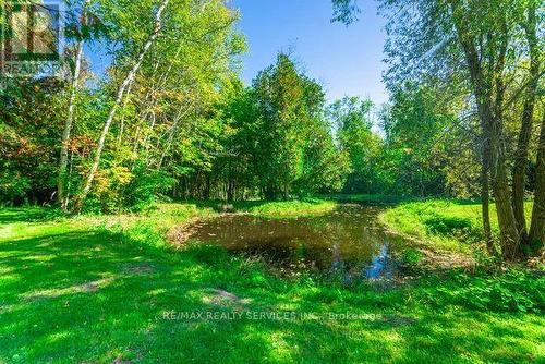 24 Cedar Drive, Caledon, ON - Outdoor