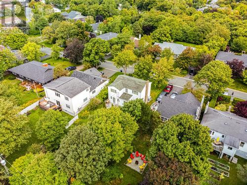 10 Chestnut Place, St. John'S, NL - Outdoor With View