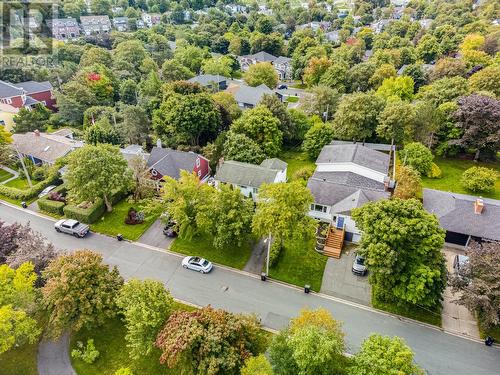 10 Chestnut Place, St. John'S, NL - Outdoor With View