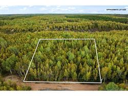 Lot 22-12A 1260 RD  Coal Creek, NB O0O 0O0