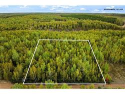 Lot 18-11 1260 RD  Coal Creek, NB O0O 0O0