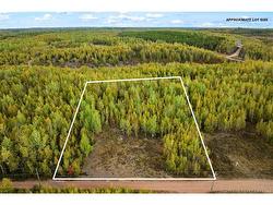 Lot 18-9 1260 RD  Coal Creek, NB O0O 0O0