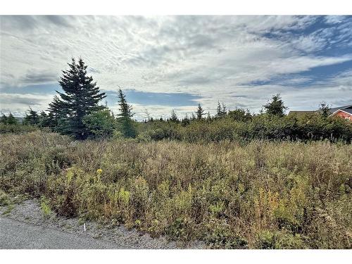 2 Whitney Street, Bay Roberts, NL 