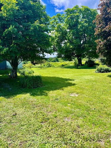 31 Blue Bay Lane, Kawartha Lakes, ON - Outdoor