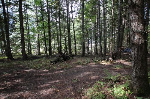 Lot 23 Highway 6, Burton, BC 