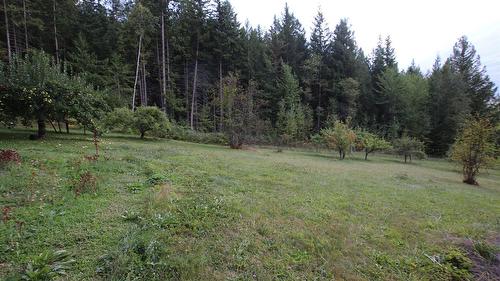 4512 Highway 6, Burton, BC 