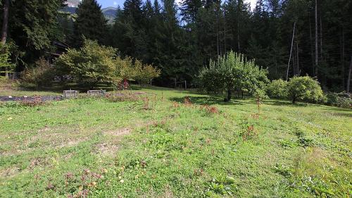 4512 Highway 6, Burton, BC 