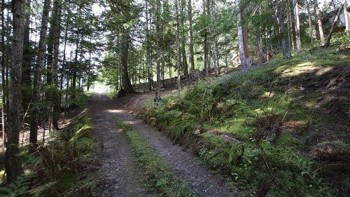 4512 Highway 6, Burton, BC 