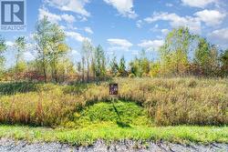 31 SYNERGY WAY  Ottawa, ON K2K 1X7