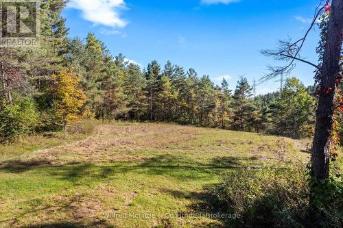 302148 Con 2 Sdr, West Grey, ON - Outdoor With View