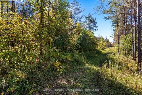 302148 Con 2 Sdr, West Grey, ON - Outdoor With View