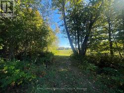 Looking South over Culver - 