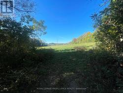 LOT C - 00 JAMIESON ROAD N  Port Hope, ON L1A 3V8