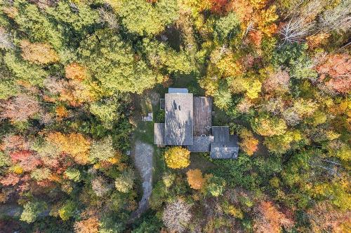 Photo aérienne - 19 Ch. Mccarthy, Chelsea, QC - Outdoor