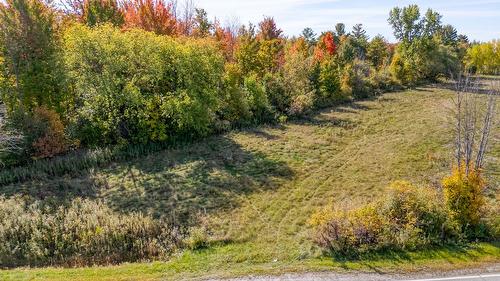 Terre/Terrain - 331 Ch. De St-Dominique, Saint-Pie, QC 