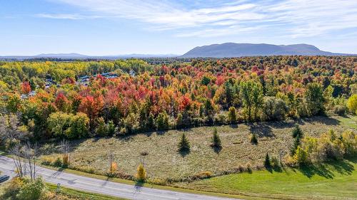 Vue d'ensemble - 331 Ch. De St-Dominique, Saint-Pie, QC 