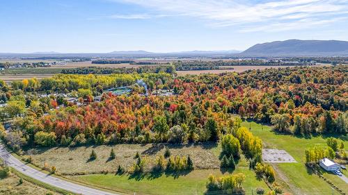 Vue d'ensemble - 331 Ch. De St-Dominique, Saint-Pie, QC 