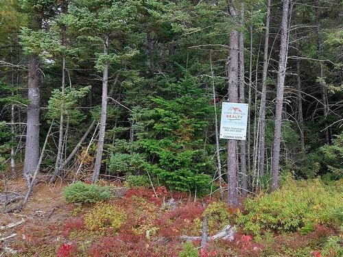 Lot 10 Tranquil Shore Rd, Marshes (West Bay), NS 