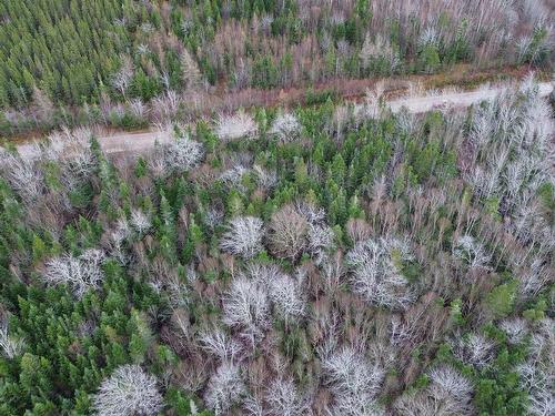 Acreage 105 Highway, Queensville, NS 