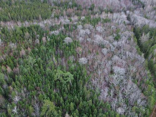 Acreage 105 Highway, Queensville, NS 