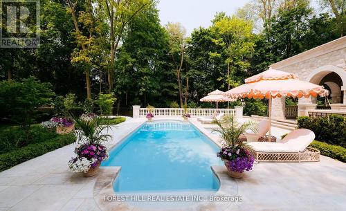 221 Forest Hill Road, Toronto, ON - Outdoor With In Ground Pool
