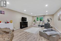 Lower level family room - 