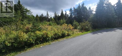 11 Barrys Island Road N, Avondale, NL 