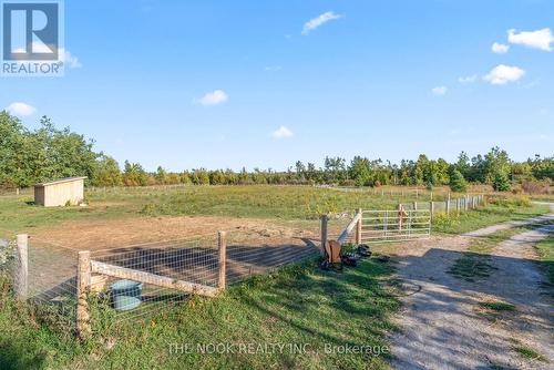 46 Mcguire Beach Road, Kawartha Lakes (Carden), ON - Outdoor With View