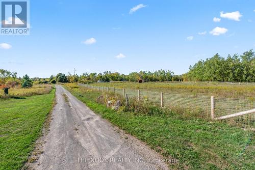 46 Mcguire Beach Road, Kawartha Lakes (Carden), ON - Outdoor With View