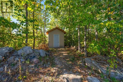 46 Mcguire Beach Road, Kawartha Lakes (Carden), ON - Outdoor