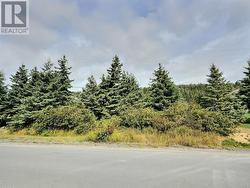 108 Valley Road  Carbonear, NL A1Y 1A3