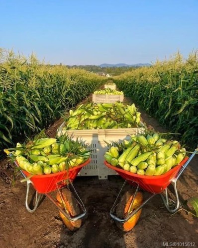 7072 Central Saanich Rd, Central Saanich, BC 