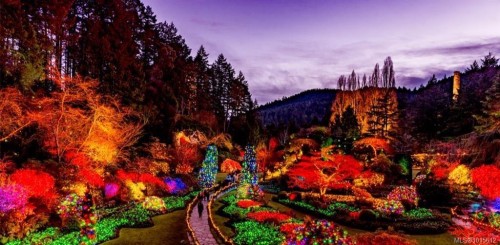 7072 Central Saanich Rd, Central Saanich, BC 