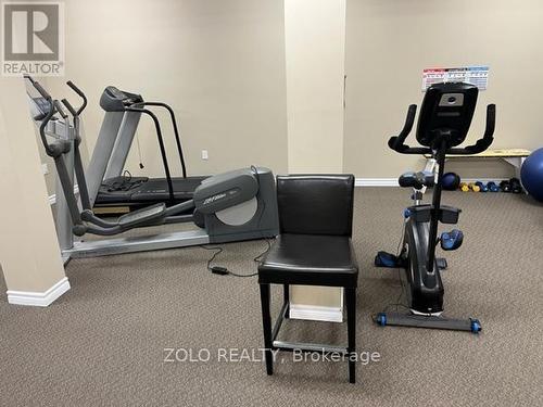 Party/Exercise  Room3 - 101 - 130 Guelph Private, Ottawa, ON - Indoor Photo Showing Gym Room