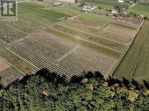 3814 Eleventh Street, Lincoln (Lincoln-Jordan/Vineland), ON - Outdoor