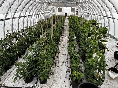 1359 38Th Avenue, Cranbrook, BC 