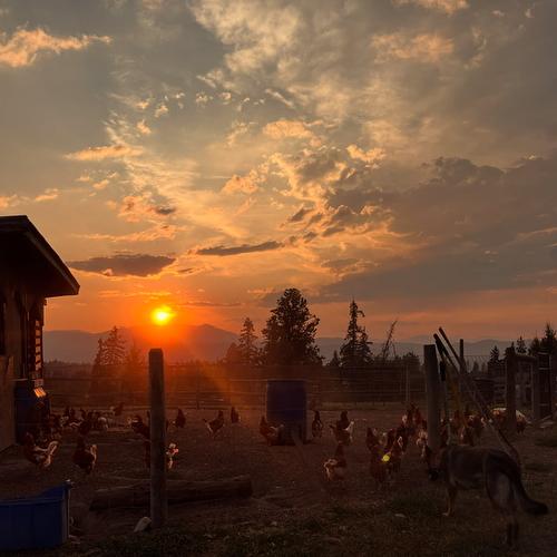 1359 38Th Avenue, Cranbrook, BC 