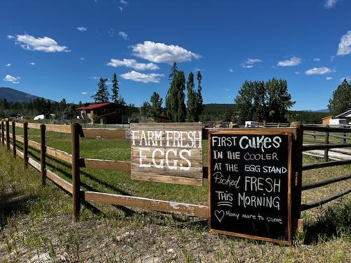 1359 38Th Avenue, Cranbrook, BC 