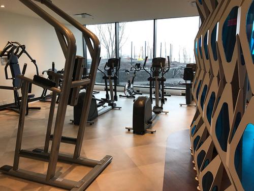 Exercise room - Ph2.04-101 Rue De La Rotonde, Montréal (Verdun/Île-Des-Soeurs), QC - Indoor Photo Showing Gym Room