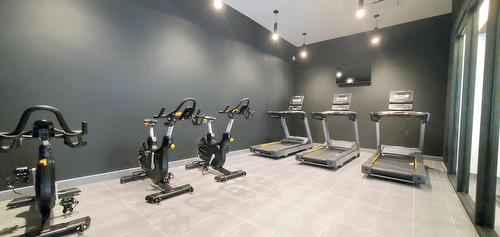 Other - 3803-1210 Rue Jeanne-Mance, Montréal (Ville-Marie), QC - Indoor Photo Showing Gym Room