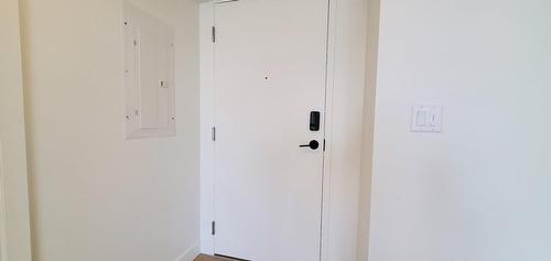 Hall - 3803-1210 Rue Jeanne-Mance, Montréal (Ville-Marie), QC - Indoor Photo Showing Other Room