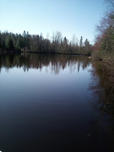 Accès au plan d'eau - 291 Ch. De La Coureuse, Saint-Mathieu-Du-Parc, QC - Outdoor With Body Of Water With View