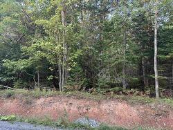 Lot 3 Burgess Road Gore, NS B0N 1T0