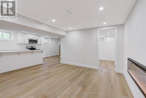 13 Skyland Drive, Hamilton, ON - Indoor With Fireplace